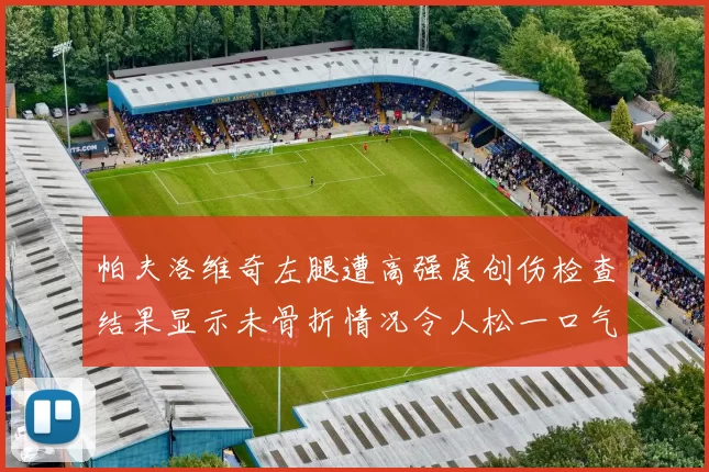 帕夫洛维奇左腿遭高强度创伤检查结果显示未骨折情况令人松一口气