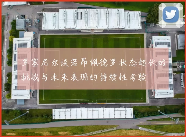 罗塞尼尔谈若昂佩德罗状态起伏的挑战与未来表现的持续性考验